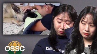 Koreans React To 'Goodbye Moments Beloved Pet' *Emotional | 𝙊𝙎𝙎𝘾