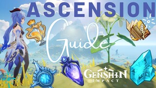 Ganyu Ascension Guide - Qingxin Farming route