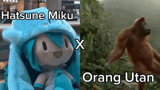 Hatsune Miku Monke Version 🐵🐵