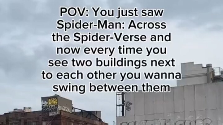 Spider man across the spider verse