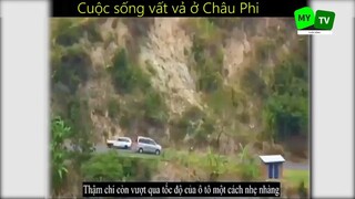 Cuộc sống mưu sinh vất vả ở Châu Phi_phần 1