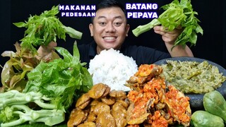 MUKBANG MAKAN RENDANG JENGKOL LALAPAN BATANG PEPAYA MENTAH IKAN ASIN SAMBEL IJO