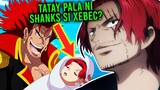 BARI BARI NO MI Explained In Tagalog! - BiliBili