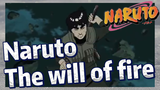 Naruto The will of fire