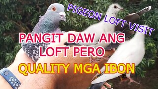 PIGEON LOFT VISIT sa ating Kalapatids