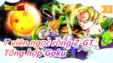 [7 viên ngọc rồng Z-GT] Tổng hợp Goku_3