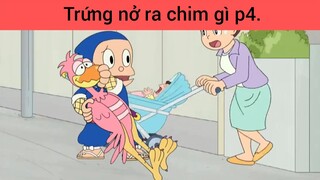 Trứng nở ra chim gì p4