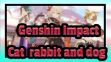 Genshin Impact|【MMD】Cat, rabbit and dog