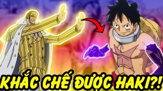 Những Loại Sức Mạnh Ghê Gớm Khắc Chế Được Haki Trong One Piece!