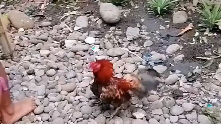 masikip ang lugar eii kaya tiis muna sa grabahan