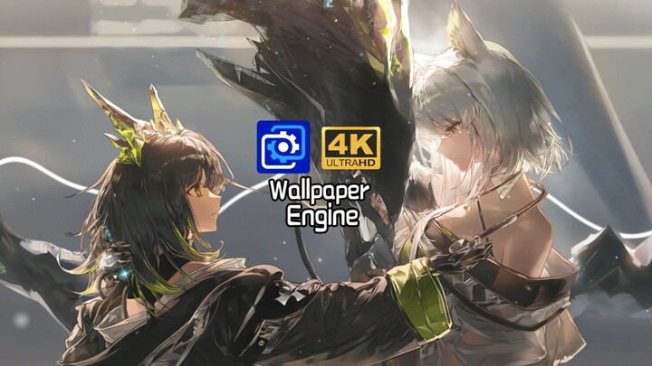 Jalinan takdir masa lalu dan masa depan [Kal'tsit×Mon3tr] Arknights CG dinamis [Mesin wallpaper] Wal
