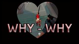 Why-why (Valorant Montage)