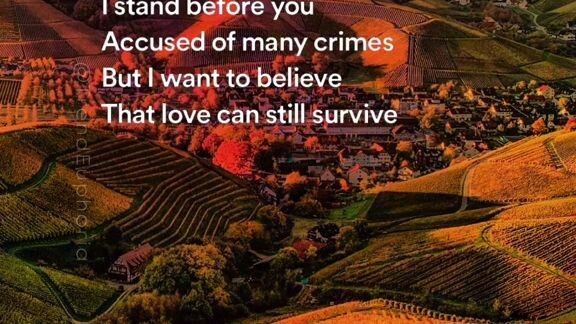 ❤️❤️❤️❤️❤️