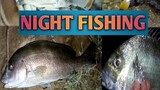 Night fishing / vlog 6