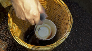 Traditional brewing soy sauce