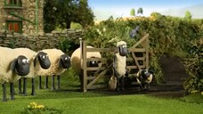 Shaun The Sheep - 7