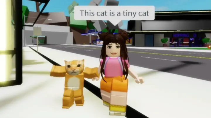 When you can't bring your cat inside the grocery store😂 (Roblox Meme)
