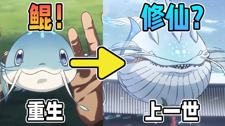 开局一条鲲，修真全靠吞！这动画真的被人做出来了？【鲲吞天下之掌门归来】