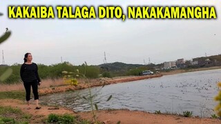 VLOG TAYO SA TABING ILOG, TIGNAN NATIN ANG MGA PUNO PAGKATAPOS NG CHERRY BLOSSOM | AJ PAKNERS