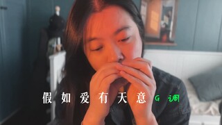 假如爱有天意