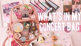 what's in my BTS concert bag  I used for love yourself