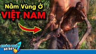 6 Sinh Vật Bí Ẩn Nhất Từng Tồn Tại Trên Trái Đất Bất Ngờ Bắt Gặp Ở Việt Nam | Khám Phá Đó Đây