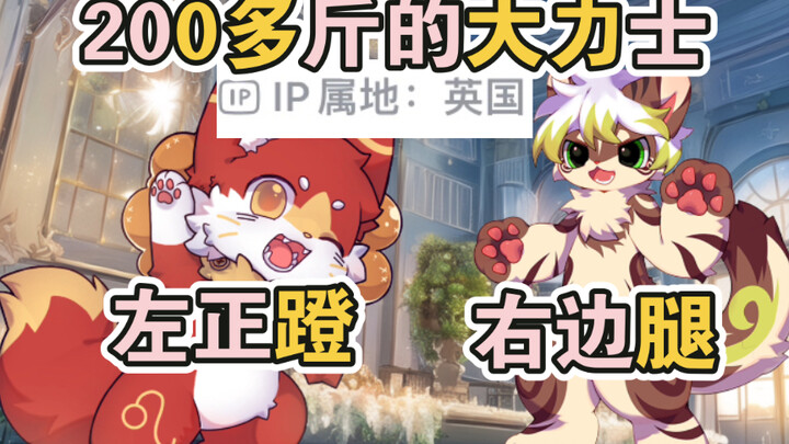 【仓鼠furry小故事】第11集⚡️二百多斤的大猫猫⚡️