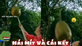 Những đứa con thất lạc của thần biển #98 / Hái Mít Và Cái Kết 😂😂😂