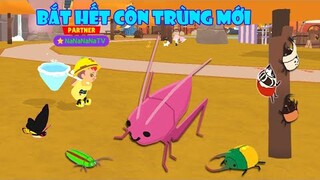 (Play Together) Vị Trí xuất hiện các loài Côn Trùng Hiếm và Bắt Full 38 loài côn trùng