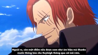 Nhiệm Vụ Cuối Cùng Của Băng Hải Tặc Roger Là Gì_ I Giả Thuyết One Piece p5