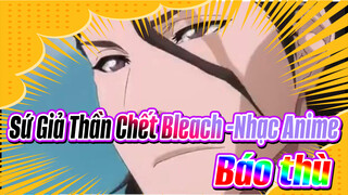 Sứ Giả Thần Chết Bleach / Nhạc Anime / Alt_z3 / Báo thù