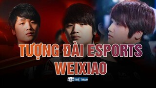 TƯỢNG ĐÀI ESPORTS  | WEIXIAO - "ANH CẢ" LÀNG AD THẾ GIỚI