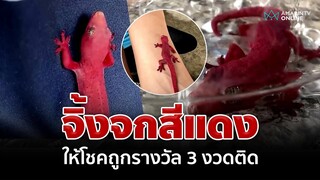 จิ้งจกสีแดง ให้โชคคนทั้งบ้านถูกรางวัล 3 งวดติด | อมรินทร์อัปเดต