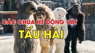 Tổng hợp những tình huống hài hước của động vật phần 1 | Vitamin Funny