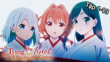 Nhà Có 3 Vu Nữ - Tập 1-13 [Việt sub] | TBT Anime