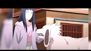 Fan Made naruto và Hinata đáng yêu xỉu #animedacsac#animehay#NarutoBorutoVN