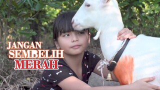 Telefilem Jangan Sembelih Merah 2017