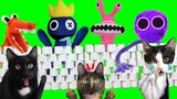 Rainbow Friends en la vida real vs pared de papel higiénico / Videos de gatitos Luna y Estrella