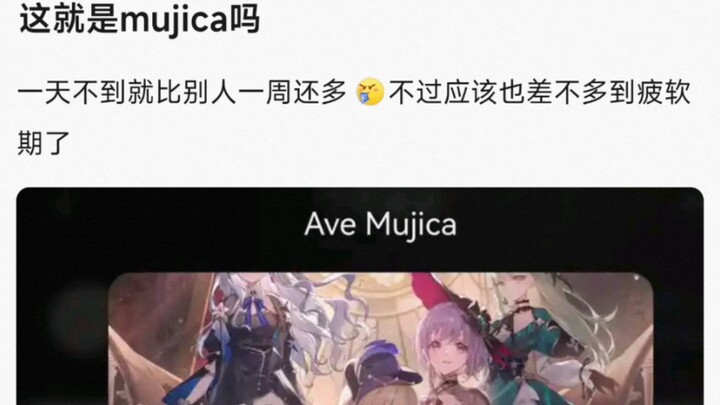 【AveMujica】这就是Mujica吗？一天不到就比别人一周还多，不过应该也差不多到疲软期了