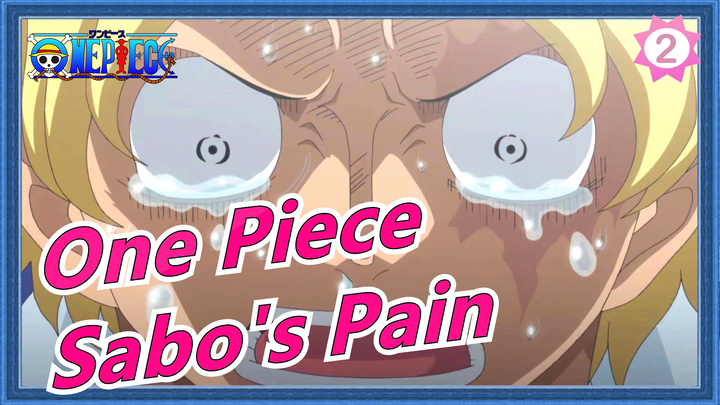 [One Piece] Sabo's Pain--- Ace's Death_2