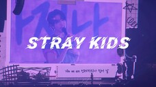 【Stray Kids】当Stray kids唱起Stray Kids…无疑是对鬼梯入坑的我最大的考验。