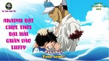 Akainu saves Luffy - Luffy's Navy Dream | Lù quyết trở thành HẢI QUÂN