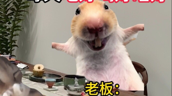 When you interview for a good job