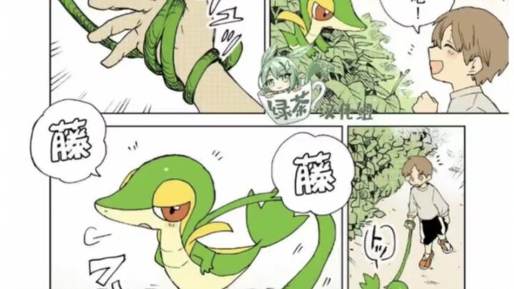 [Pokémon] A vine snake encountered in the wild