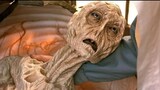 Old Men Rejuvenate Themselves by Draining Mysterious Energy, Causing Alien to Die | Cocoon|FILM
