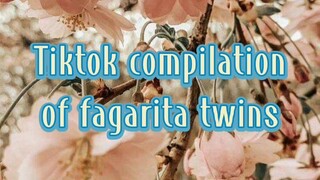 Tiktok compilation of fagarita twins🥰