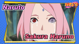 Naruto-Sakura Haruno-Sakura di Ladang, Satu Tahun Lagi Dalam Kerinduan