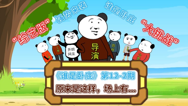 《谁是卧底》第12-2期综艺版：真没想到，原来是这样！