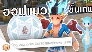 Ragnarok M Eternal love | ออฟแมว ขั้นเทพ สูตรลับตีบวกติดชัว 100%