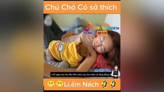 Chú chó có sở thích kì lạ 🤣🤣 mereviewphim nntreview2 reviewphimhay